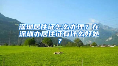 深圳居住證怎么辦理？在深圳辦居住證有什么好處？