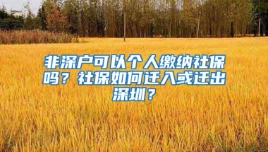 非深戶可以個人繳納社保嗎？社保如何遷入或遷出深圳？