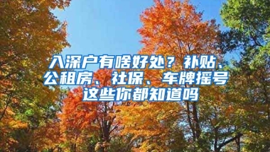 入深戶(hù)有啥好處？補(bǔ)貼、公租房、社保、車(chē)牌搖號(hào) 這些你都知道嗎