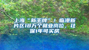 上?！靶峦跖啤?！臨港新片區(qū)18萬個(gè)就業(yè)崗位，社保1年可買房