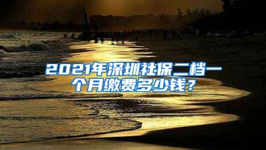 2021年深圳社保二檔一個月繳費多少錢？