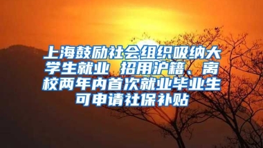 上海鼓勵(lì)社會(huì)組織吸納大學(xué)生就業(yè) 招用滬籍、離校兩年內(nèi)首次就業(yè)畢業(yè)生可申請(qǐng)社保補(bǔ)貼