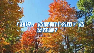 「知識(shí)」檔案有什么用？檔案在哪？