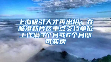 上海吸引人才再出招：在臨港新片區(qū)重點(diǎn)支持單位工作滿3個(gè)月或6個(gè)月即可買房