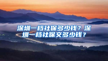 深圳一檔社保多少錢？深圳一檔社保交多少錢？