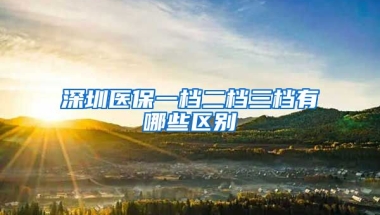 深圳醫(yī)保一檔二檔三檔有哪些區(qū)別