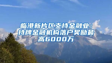 臨港新片區(qū)支持金融業(yè)：持牌金融機(jī)構(gòu)落戶獎(jiǎng)勵(lì)最高6000萬