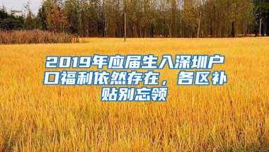 2019年應(yīng)屆生入深圳戶口福利依然存在，各區(qū)補(bǔ)貼別忘領(lǐng)