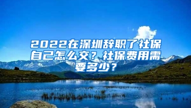 2022在深圳辭職了社保自己怎么交？社保費(fèi)用需要多少？