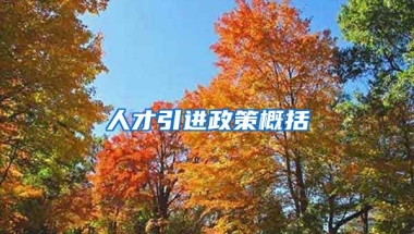 人才引進政策概括