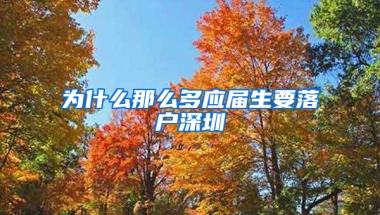 為什么那么多應(yīng)屆生要落戶深圳