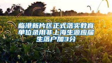 臨港新片區(qū)正式落實教育單位錄用非上海生源應屆生落戶加3分