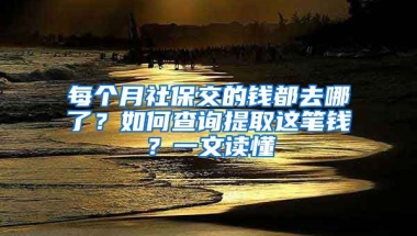 每個月社保交的錢都去哪了？如何查詢提取這筆錢？一文讀懂