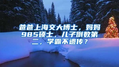 爸爸上海交大博士，媽媽985碩士，兒子倒數(shù)第二，學霸不遺傳？