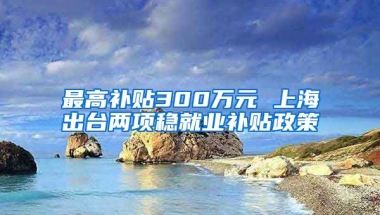 最高補貼300萬元 上海出臺兩項穩(wěn)就業(yè)補貼政策