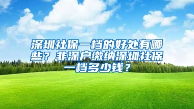 深圳社保一檔的好處有哪些？非深戶繳納深圳社保一檔多少錢？