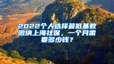 2022個人選擇最低基數(shù)繳納上海社保，一個月需要多少錢？