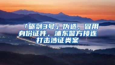 「礪劍3號(hào)」偽造、冒用身份證件，浦東警方接連打擊涉證類(lèi)案