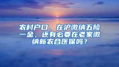 農(nóng)村戶口、在滬繳納五險一金，還有必要在老家繳納新農(nóng)合醫(yī)保嗎？