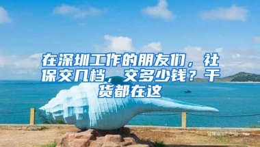 在深圳工作的朋友們，社保交幾檔，交多少錢？干貨都在這