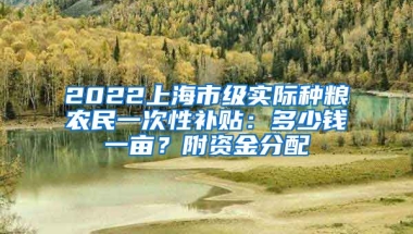 2022上海市級(jí)實(shí)際種糧農(nóng)民一次性補(bǔ)貼：多少錢一畝？附資金分配