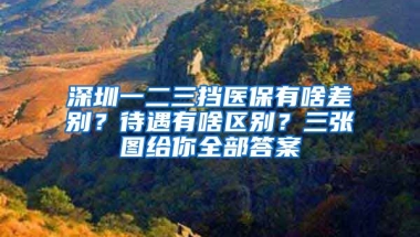 深圳一二三擋醫(yī)保有啥差別？待遇有啥區(qū)別？三張圖給你全部答案