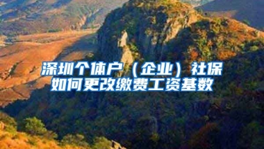 深圳個體戶（企業(yè)）社保如何更改繳費工資基數(shù)