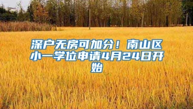 深戶無房可加分！南山區(qū)小一學位申請4月24日開始