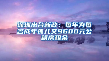 深圳出臺新政：每年為每名成年孤兒交9600元公租房租金