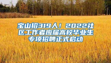 寶山招319人！2022社區(qū)工作者應(yīng)屆高校畢業(yè)生專項(xiàng)招聘正式啟動(dòng)