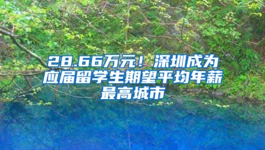 28.66萬元！深圳成為應(yīng)屆留學(xué)生期望平均年薪最高城市