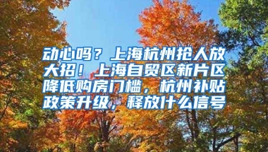 動心嗎？上海杭州搶人放大招！上海自貿(mào)區(qū)新片區(qū)降低購房門檻，杭州補貼政策升級，釋放什么信號