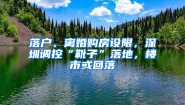 落戶、離婚購房設限，深圳調控“靴子”落地，樓市或回落