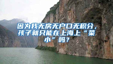 因為我無房無戶口無積分，孩子就只能在上海上“菜小”嗎？