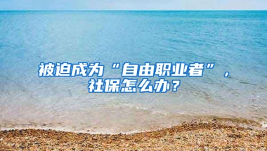 被迫成為“自由職業(yè)者”，社保怎么辦？