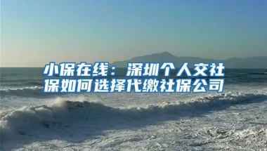 小保在線：深圳個(gè)人交社保如何選擇代繳社保公司