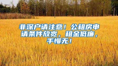 非深戶請(qǐng)注意！公租房申請(qǐng)條件放寬，租金低廉，手慢無！