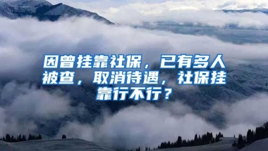 因曾掛靠社保，已有多人被查，取消待遇，社保掛靠行不行？