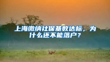 上海繳納社?；鶖?shù)達標，為什么還不能落戶？