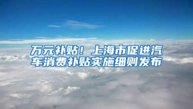 萬元補貼！上海市促進汽車消費補貼實施細則發(fā)布