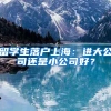 留學(xué)生落戶上海：進(jìn)大公司還是小公司好？