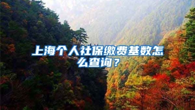 上海個(gè)人社保繳費(fèi)基數(shù)怎么查詢？