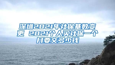 深圳2021年社?；鶖?shù)變更 2021個(gè)人買社保一個(gè)月要交多少錢