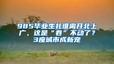 985畢業(yè)生扎堆離開北上廣，這是“卷”不動(dòng)了？3座城市成新寵