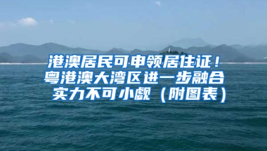 港澳居民可申領(lǐng)居住證！粵港澳大灣區(qū)進(jìn)一步融合 實(shí)力不可小覷（附圖表）