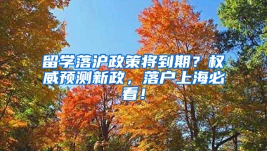 留學(xué)落滬政策將到期？權(quán)威預(yù)測新政，落戶上海必看！