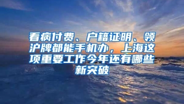 看病付費(fèi)、戶籍證明、領(lǐng)滬牌都能手機(jī)辦，上海這項(xiàng)重要工作今年還有哪些新突破