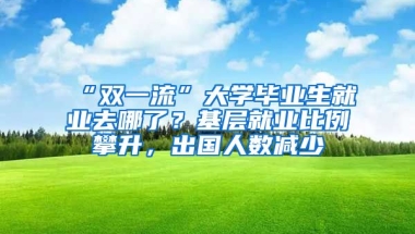 “雙一流”大學畢業(yè)生就業(yè)去哪了？基層就業(yè)比例攀升，出國人數(shù)減少