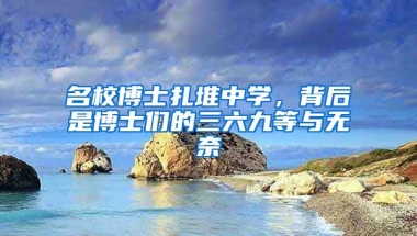 名校博士扎堆中學(xué)，背后是博士們的三六九等與無奈