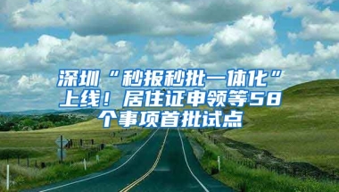 深圳“秒報秒批一體化”上線！居住證申領(lǐng)等58個事項首批試點